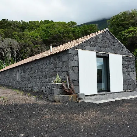 Alojamento de Turismo Rural Casa Dos Botes - Whaleboat House Ter Sao Caetano (Pico)